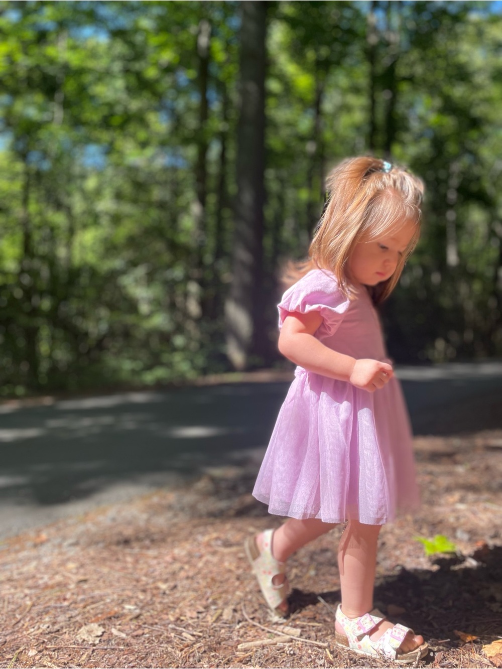 Cat & Jack Toddler Girls' Short Sleeve Tulle Dress - Lavender Mauve 18 Months